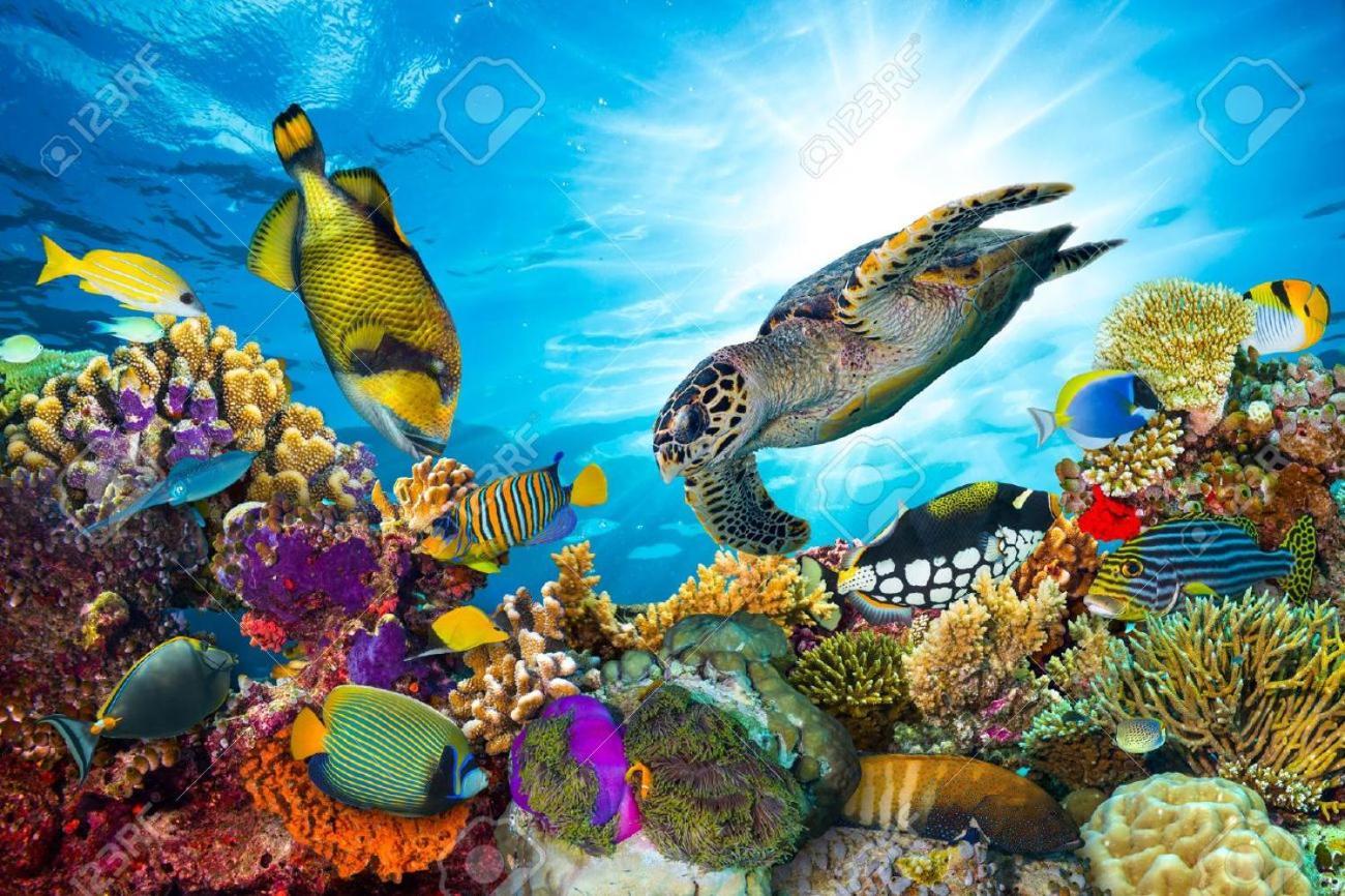 דירות Fond Fleury L'Ocean Bleu Des Anses מראה חיצוני תמונה